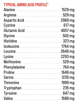 BASIC PROTEINA ISOLATE 5 LB CHOCOLATE 4