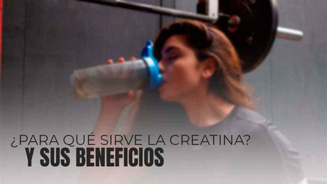 ¿Para qué sirve la creatina? - TBH Suplementos