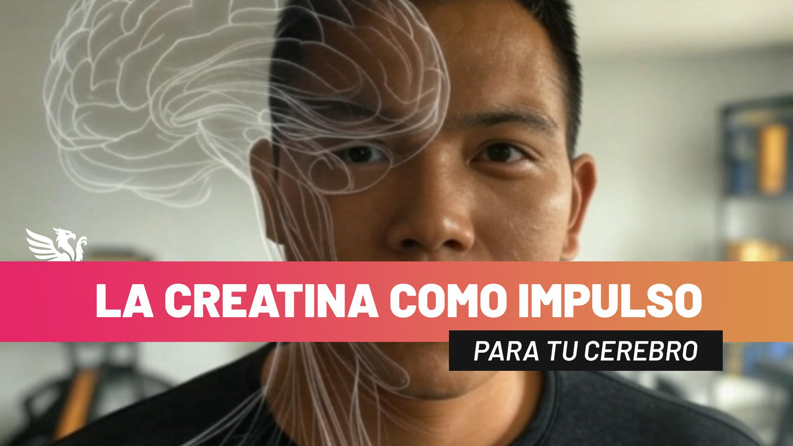 La creatina no solo es para los músculos | TBH Suplementos