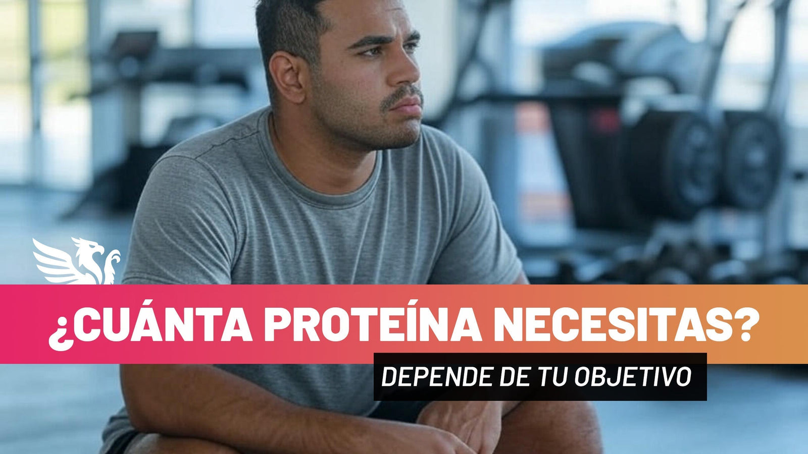 ¿Cuánta proteína necesitas al día? - TBH Suplementos