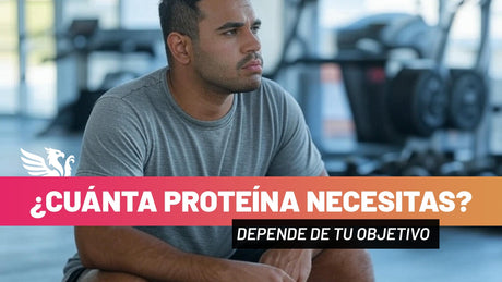 ¿Cuánta proteína necesitas al día? - TBH Suplementos