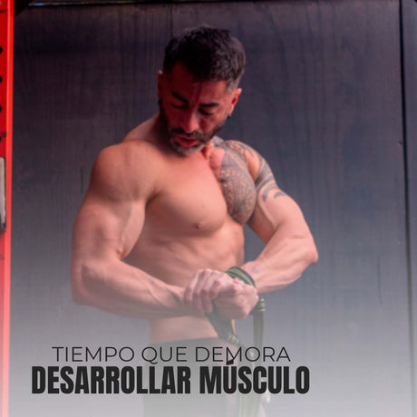 ¿Cuánto se tarda en desarrollarse el músculo? - TBH Suplementos