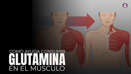 EL PODER DE LA GLUTAMINA - TBH Suplementos