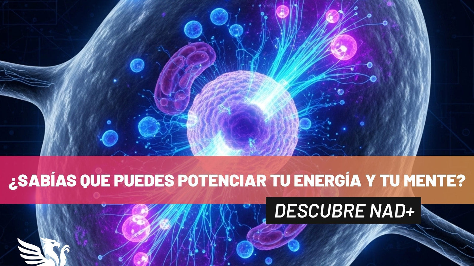 Energía, longevidad y salud celular - TBH Suplementos