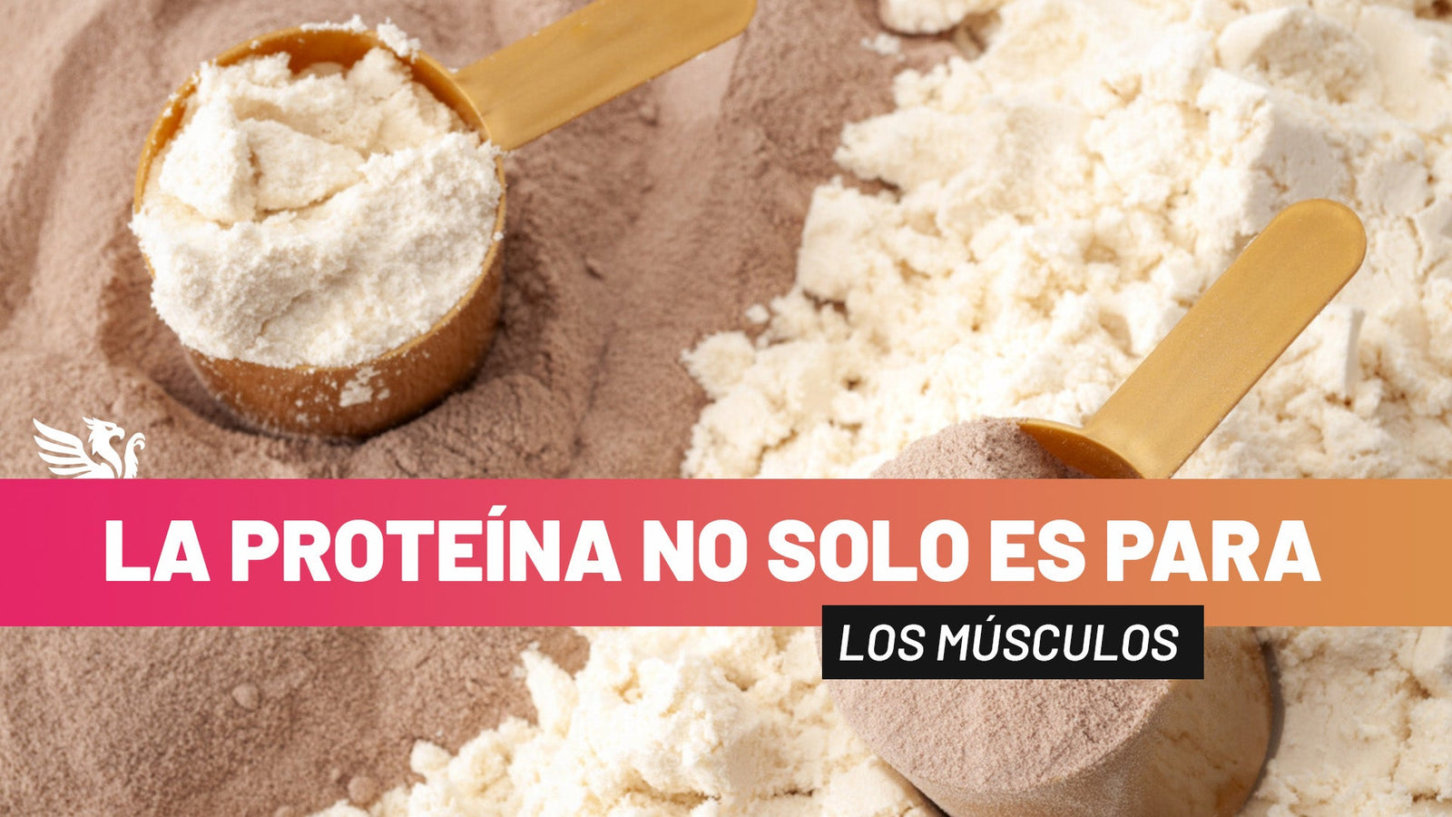 💡 La proteína no solo es para músculos 💪🥚 - TBH Suplementos