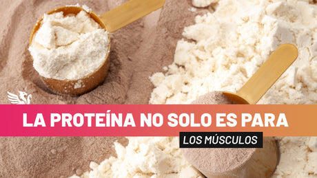 💡 La proteína no solo es para músculos 💪🥚 - TBH Suplementos