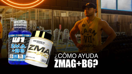 ¿Qué es el Z Mag + y cómo nos ayuda?