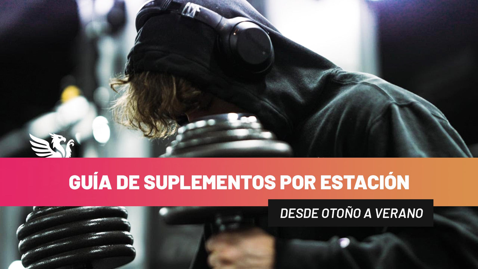 Guía de Suplementos por Estación: Desde Otoño hasta Verano