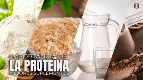 La importancia de la proteína en la dieta deportiva y los mejores suplementos de proteína