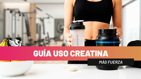 Creatina Monohidratada en Chile: Guía de Uso para Aumentar Fuerza y Masa Muscular