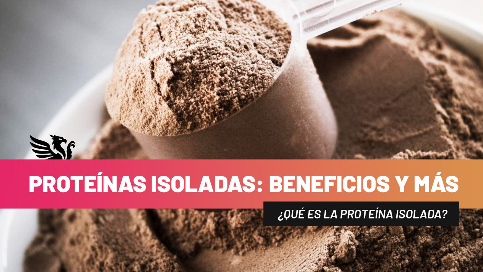 Todo Sobre las Proteínas Isoladas: Beneficios y Más