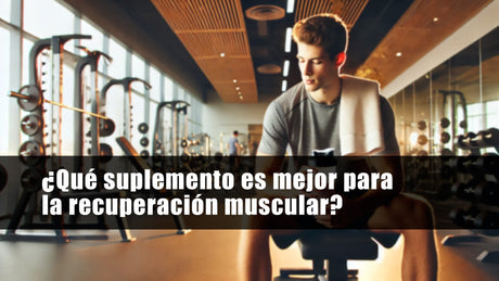 Suplementos para la Recuperación Muscular: ¿Cuáles son los Mejores?