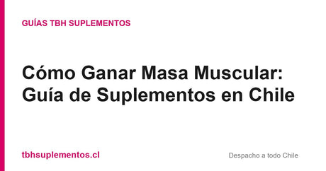 Cómo Ganar Masa Muscular: Guía de Suplementos en Chile - Guías TBH Suplementos