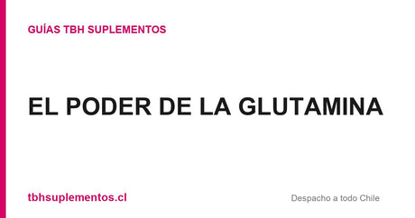 EL PODER DE LA GLUTAMINA - Guías TBH Suplementos