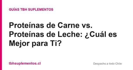 Proteínas de Carne vs. Proteínas de Leche: ¿Cuál es Mejor para Ti? - Guías TBH Suplementos