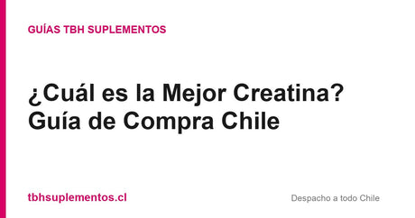¿Cuál es la Mejor Creatina? Guía de Compra Chile - Guías TBH Suplementos