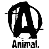 Animal Creatina Super Charger 282 g Watermelon – Universal Nutrition, Creatina Premium para Atletas