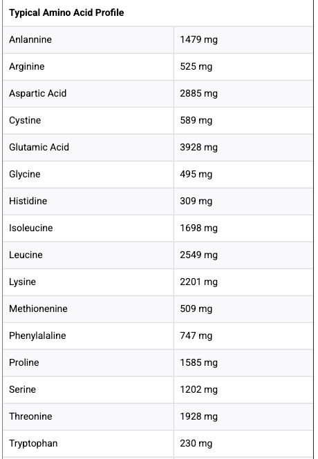 Basic Proteína Isolate 5 Lb - Chocolate