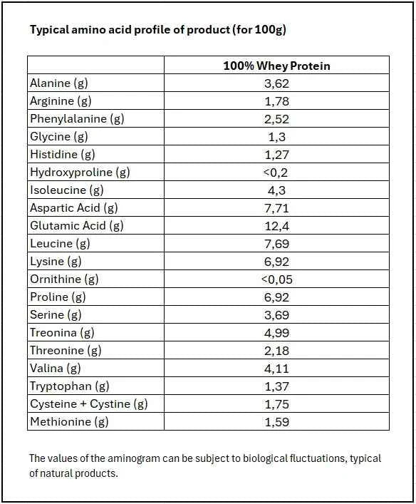 OstroVit 100% Whey Protein 2000 g White Chocolate – Proteína de Suero Certificada, 66 Porciones, Calidad Europea